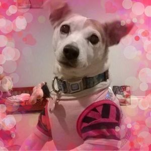 Meet your Posher, Gloria g